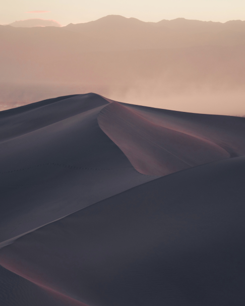 GRAND DUNES 
 LANDSCAPE